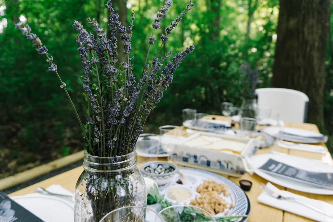 Passover seder meal