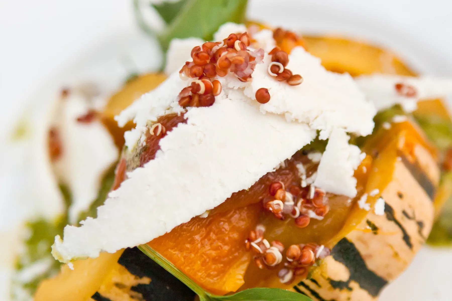 Roasted squash with shaved cheese, plated