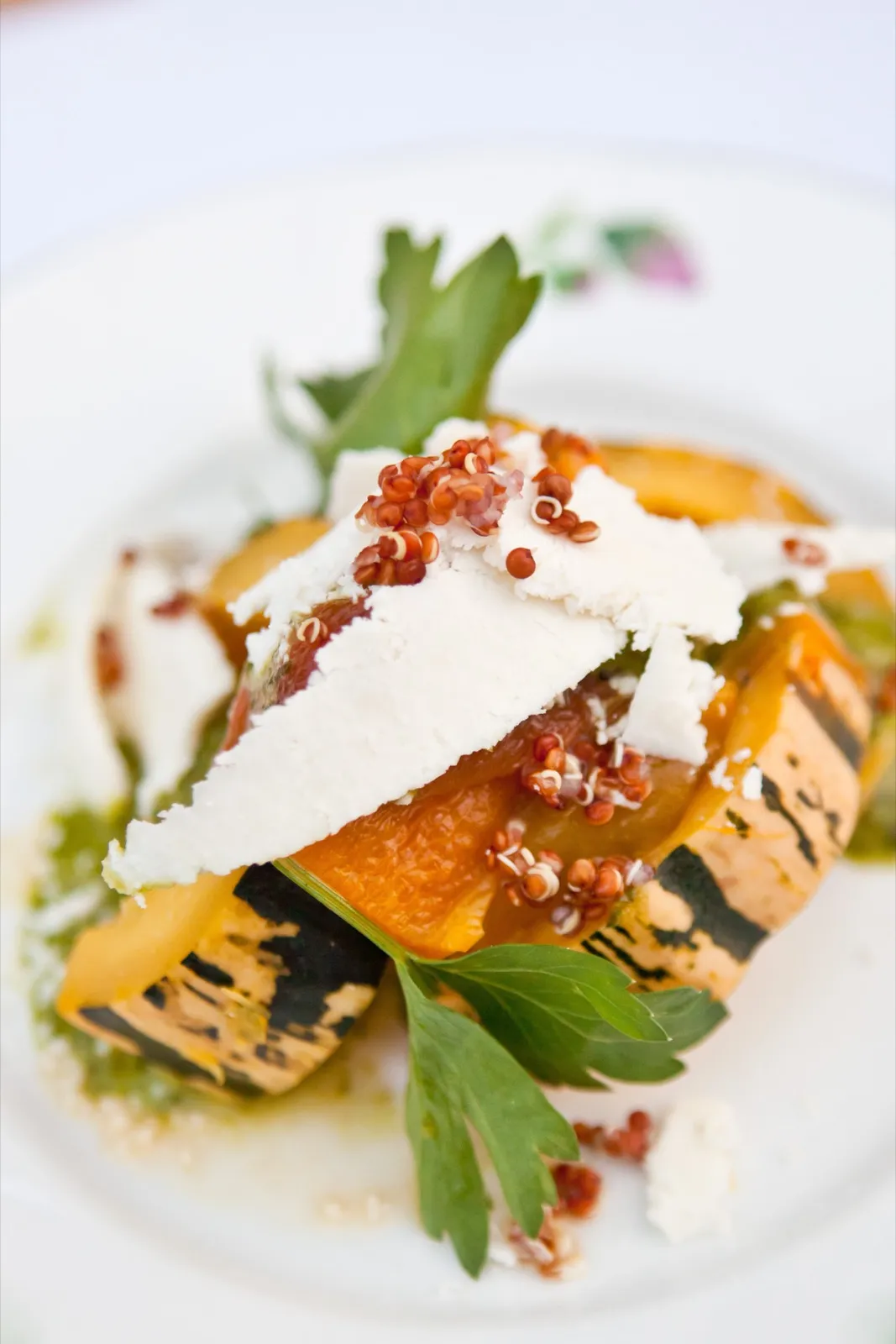 Roasted delicata squash with shaved cheese, red quinoa, and parsley